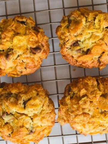 Cornflake cookies on baking tray.