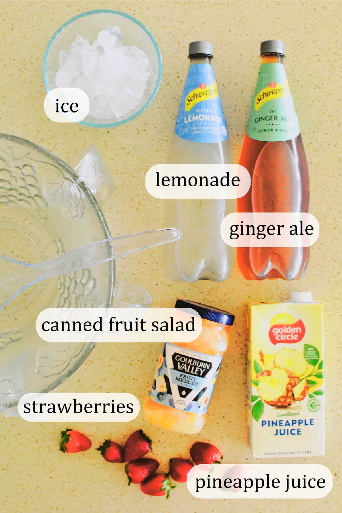 Ingredients to make Fruit Punch.