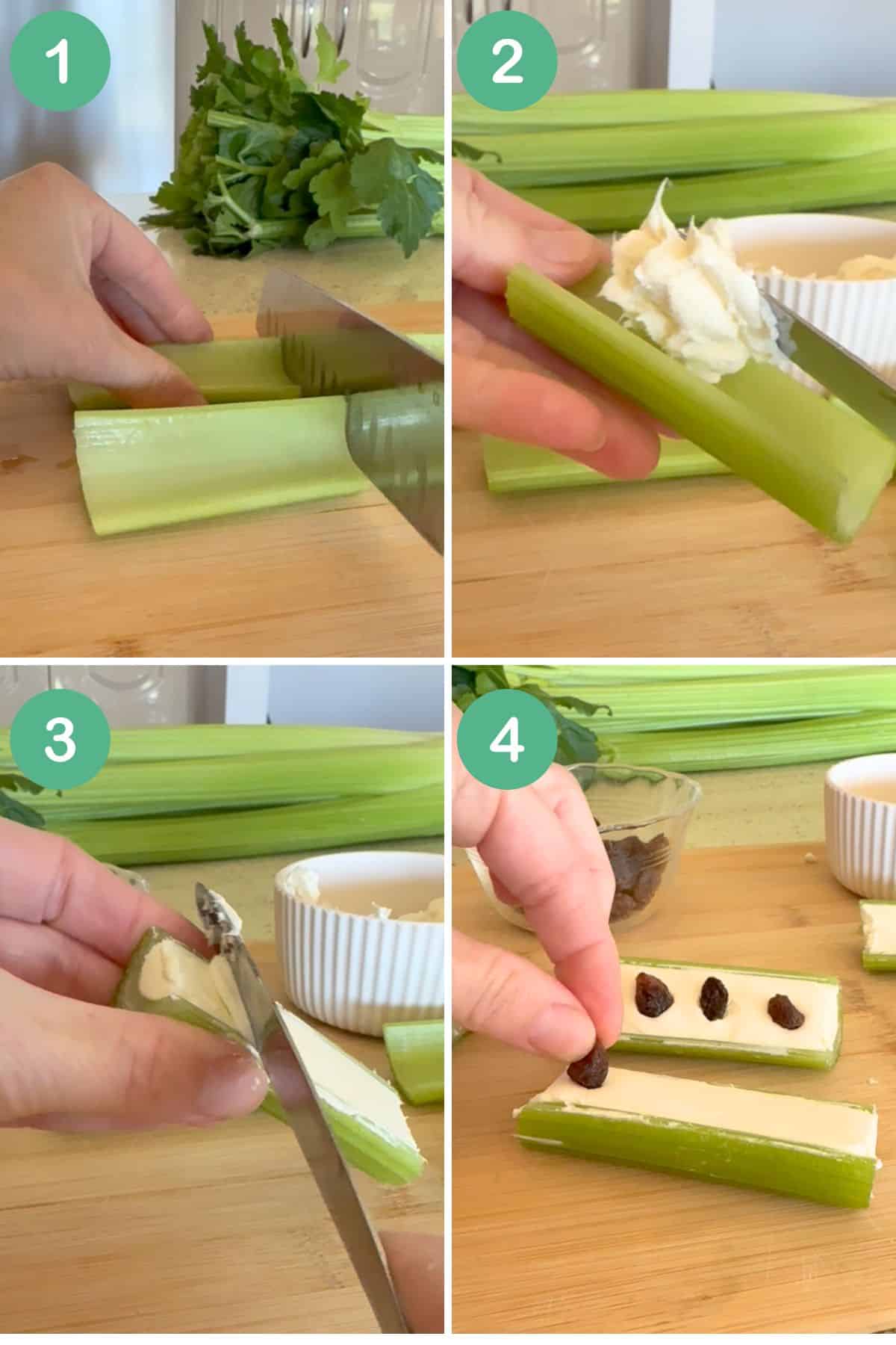 How to make ants on a Log.